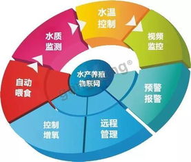 水产养殖物联网智能管控系统